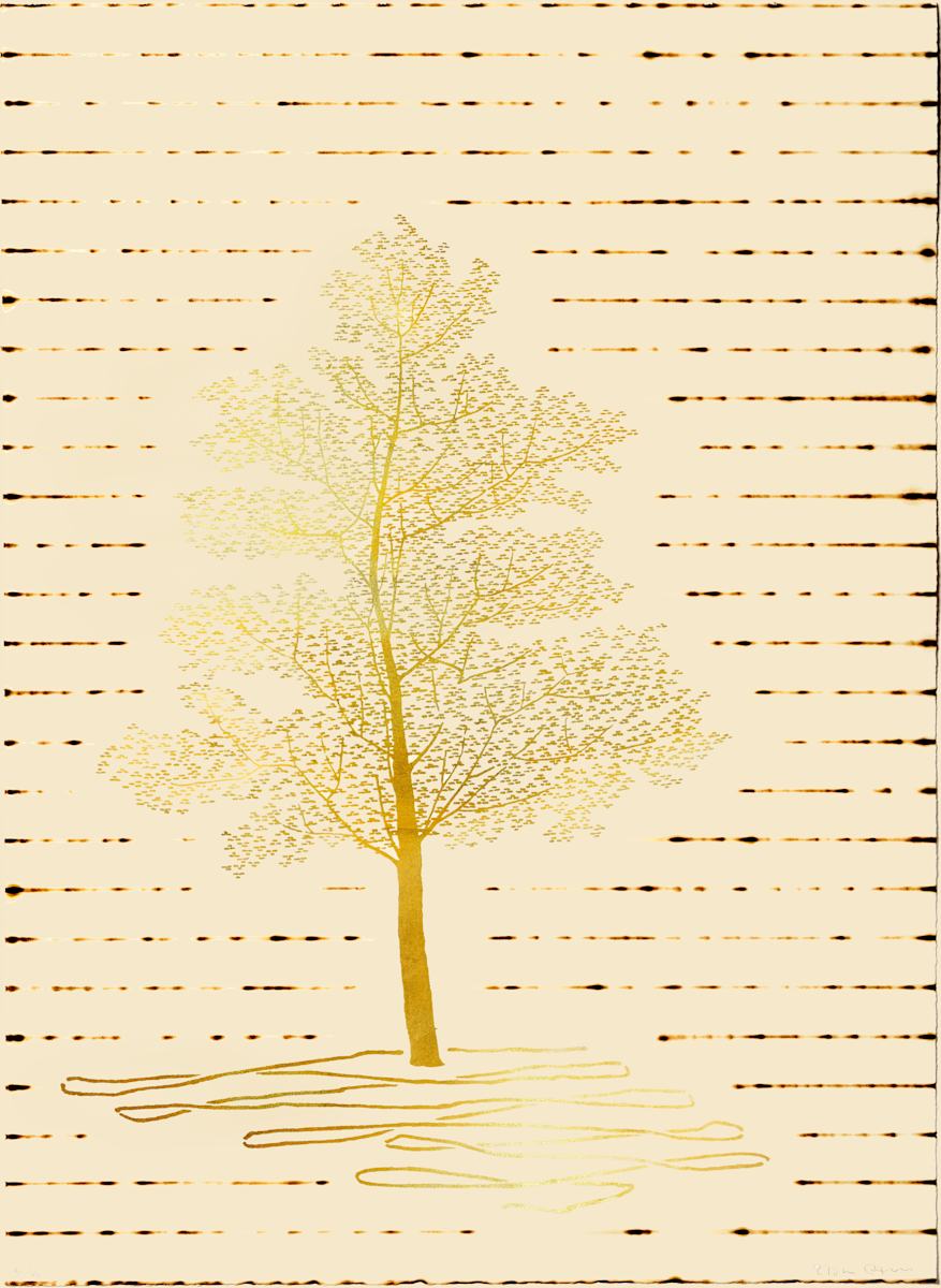 The Pomeranian Trees 2 The Pomeranian Trees 2, 77 x 56 cm, Lithograph with 24ct gold leaf and fire, 2025