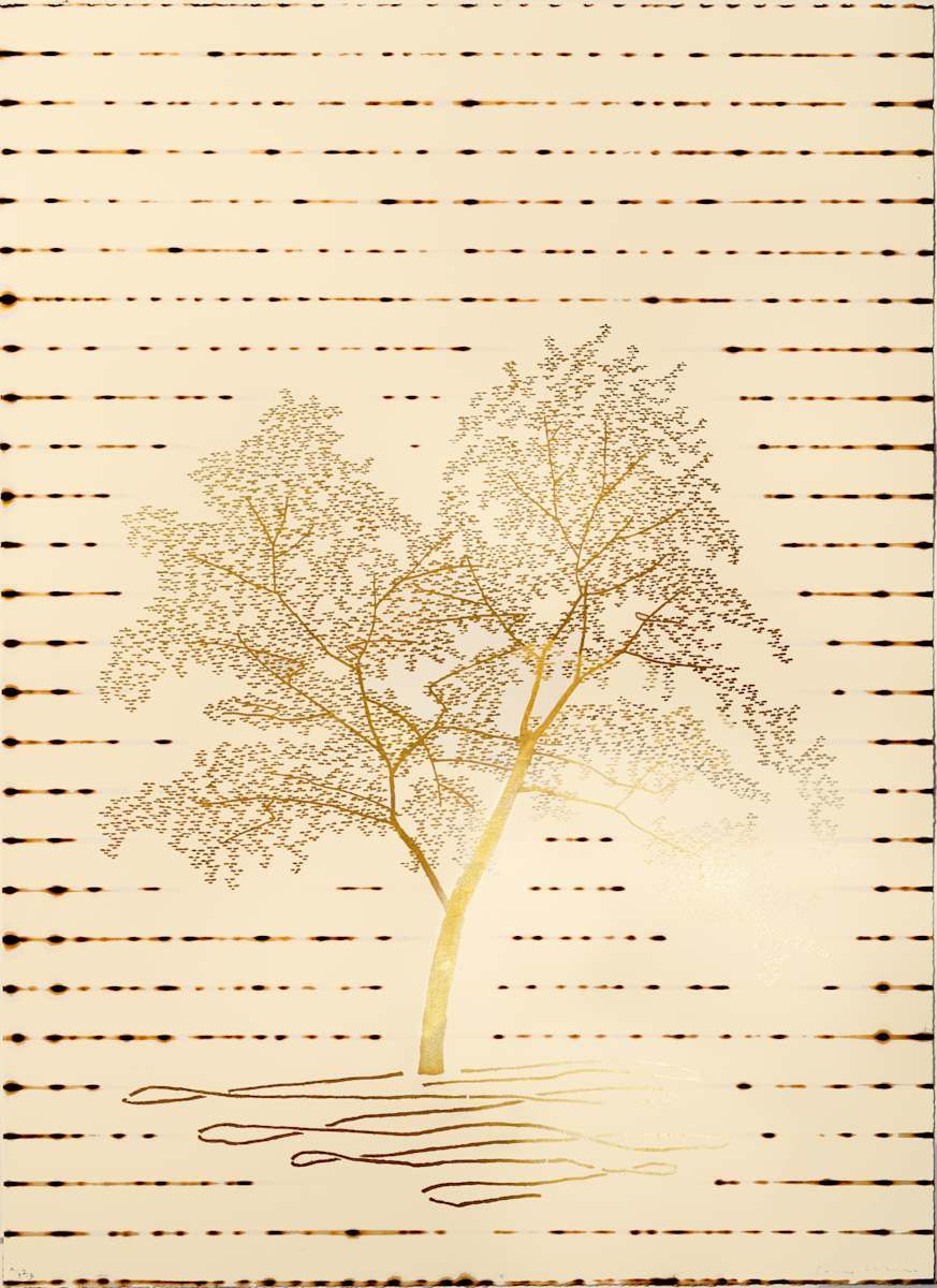 The Pomeranian Trees 4 The Pomeranian Trees 4, 77 x 56 cm, Lithograph with 24ct gold leaf and fire, 2025